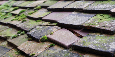 Pen Y Bont roof repair costs